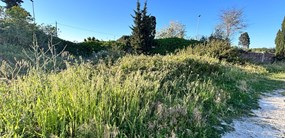 Foto 21